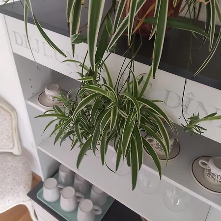 Mirador De Amantes - Vute-23-019 Lejlighed Teruel